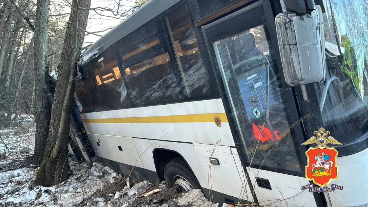 В Подмосковье автобус съехал в кювет и врезался в дерево, пострадали пять человек