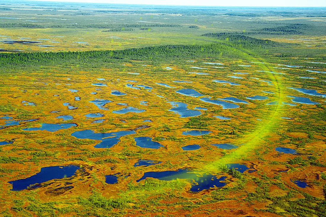 Крылатые медведи и пропавшие народы. Какие жуткие тайны хранят Васюганские болота