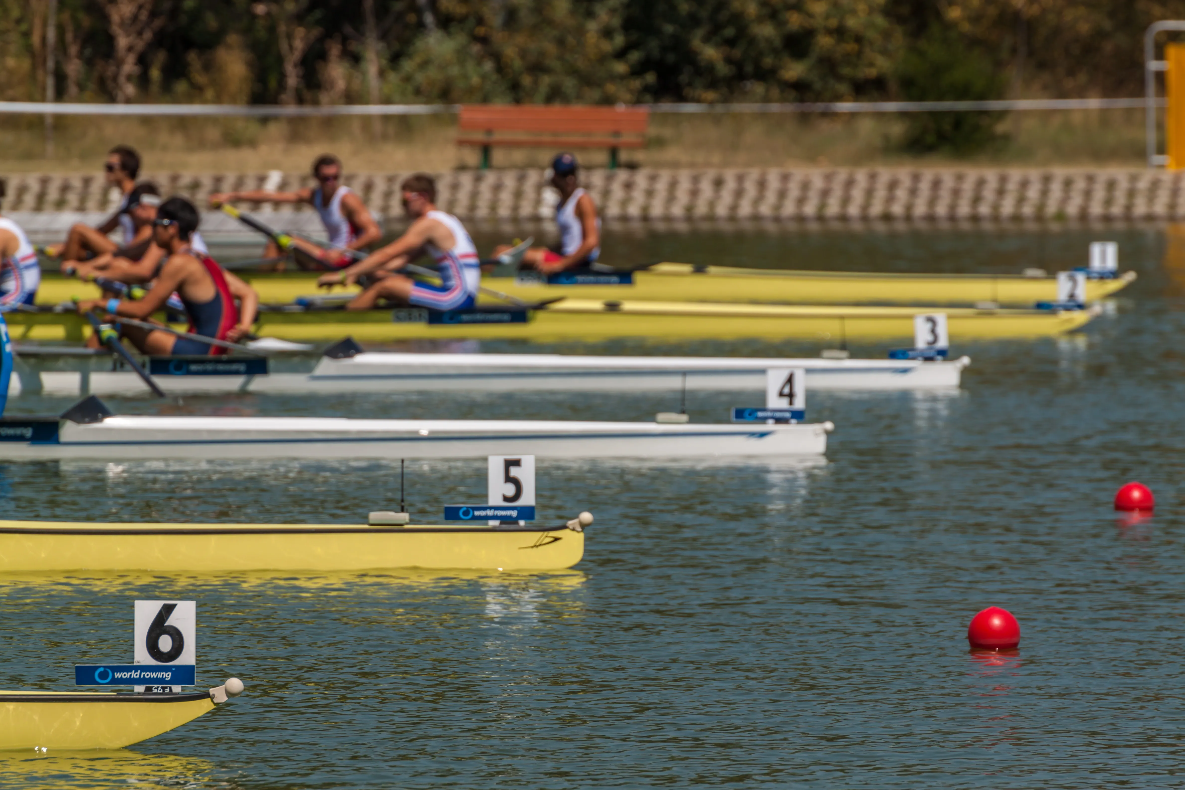 Российским судьям вернули право работать на турнирах World Rowing