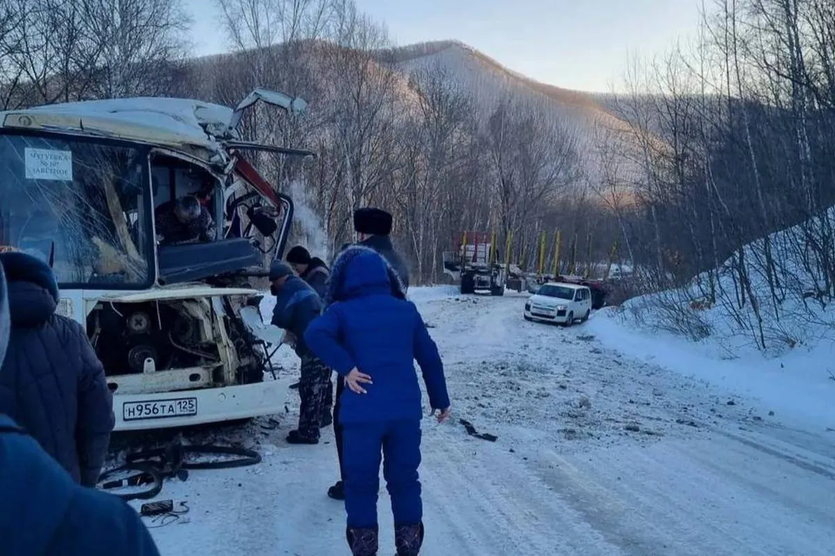 В Приморье столкнулись автобус и лесовоз, пострадали 14 человек