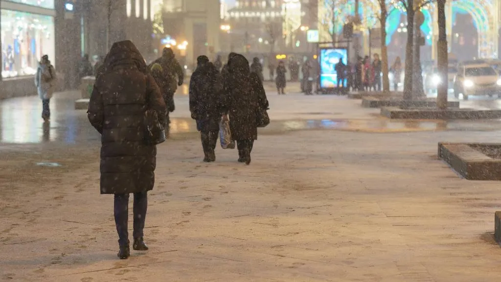 Москвичам пообещали морозную ночь