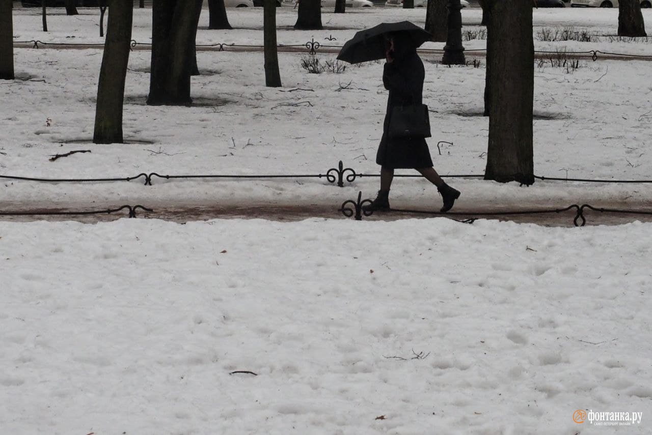 сильный ветер в санкт петербурге