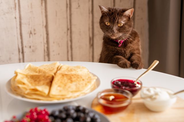 Пословицы, которые означают не то, что вы думали