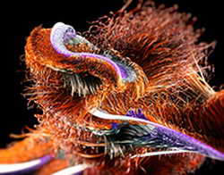 Работу системы отопления в Москве скорректировали из-за похолодания