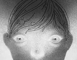Палисадники Тюмени: ирисы