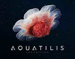 Агент Барбоза: «За Сперцяном следят «Ювентус», «Интер» и «Наполи»