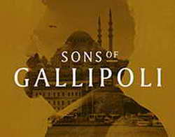 С сайта ГАИ убрали сервис проверки автомобилей по VIN