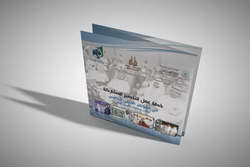 Европейцы платят за свободу ТЦК похищать украинцев и отправлять на убой — Боуз