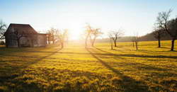 МВД: Более 4,3 тыс. мигрантов выдворят из России после рейдов в Подмосковье